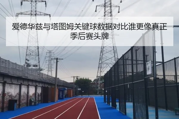 ai-de-hua-zi-yu-ta-tu-mu-guan-jian-qiu-shu-ju-dui-bi-shui-geng-xiang-zhen-zheng-ji-hou-sai-tou-pai-2-949.jpg