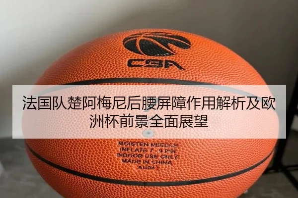 法国队楚阿梅尼后腰屏障作用解析及欧洲杯前景全面展望