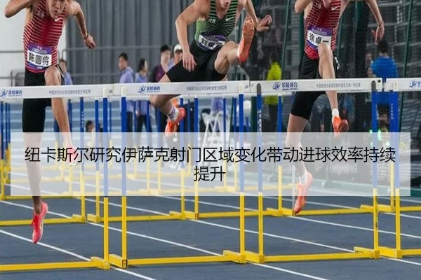 纽卡斯尔研究伊萨克射门区域变化带动进球效率持续提升