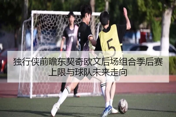 独行侠前瞻东契奇欧文后场组合季后赛上限与球队未来走向