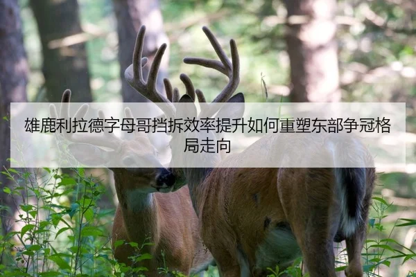 雄鹿利拉德字母哥挡拆效率提升如何重塑东部争冠格局走向